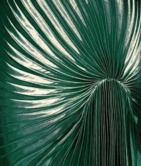 Dazed Dress Floor Length Metallic